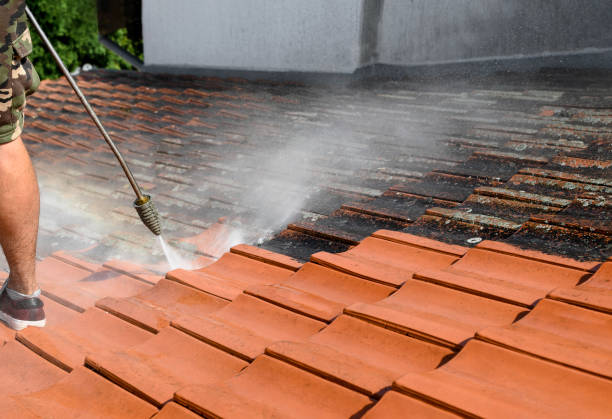 Best Commercial Building Pressure Washing  in Woodbridge, CA
